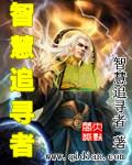 智慧者游戏