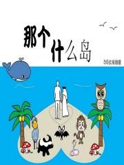 什么岛?