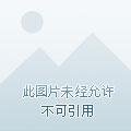天恩月恩是什么意思