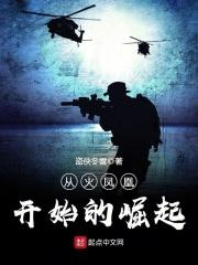 从火凤凰开始的崛起123