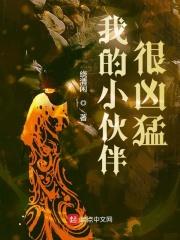 我的小伙伴这篇作文怎么写?