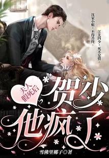 贺帅宠妻夫人不好惹 慕容小呆
