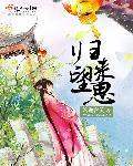 归来望思苍耳百度