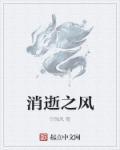 消逝的风景