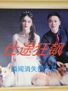 仕途狂飙有声免费听