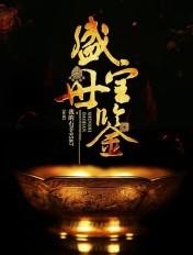 盛世宝鉴免费全文阅读无删减